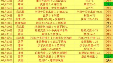 35岁老将11战9胜，场均10+再放异彩，助力黑马冲冠？